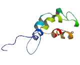 Transmembrane Protein 242 (TMEM242)