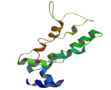 Chromosome 6 Open Reading Frame 47 (C6orf47)