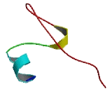 Chromosome 6 Open Reading Frame 48 (C6orf48)