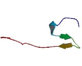 Chromosome 6 Open Reading Frame 52 (C6orf52)