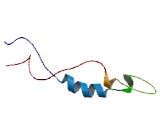 Succinate Dehydrogenase Complex Assembly Factor 4 (SDHAF4)