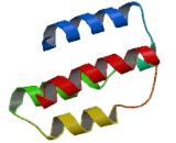 Chromosome 6 Open Reading Frame 58 (C6orf58)