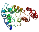 Glycoprotein Integral Membrane Protein 1 (GINM1)