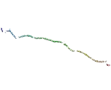 Centrosomal Protein 162kDa (CEP162)