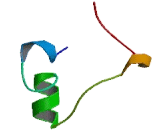 Bombesin Receptor Activated Protein (BRAP)