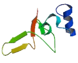 Chromosome 6 Open Reading Frame 99 (C6orf99)