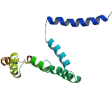 Suppressor APC Domain Containing Protein 1 (SAPCD1)