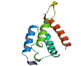 Transmembrane Protein 243 (TMEM243)