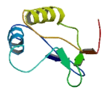 Chromosome 7 Open Reading Frame 25 (C7orf25)