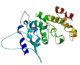 Vacuolar Fusion Protein CCZ1 Homolog B (CCZ1B)