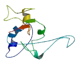 ZBED6 C-Terminal Like Protein (ZBED6CL)