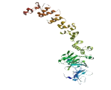 Chromosome 7 Open Reading Frame 31 (C7orf31)