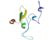 Chromosome 7 Open Reading Frame 33 (C7orf33)