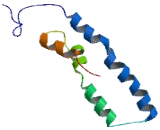 Chromosome 7 Open Reading Frame 34 (C7orf34)