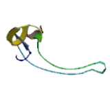 Chromosome 7 Open Reading Frame 43 (C7orf43)