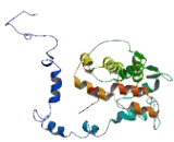 Family With Sequence Similarity 221, Member A (FAM221A)