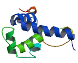 Protein Phosphatase 1, Regulatory Subunit 35 (PPP1R35)