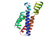 Chromosome 7 Open Reading Frame 50 (C7orf50)