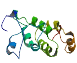 Leucine Rich Single Pass Membrane Protein 1 (LSMEM1)