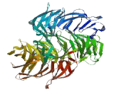 Cadherin-like and PC Esterase Domain Containing Protein 1 (CPED1)