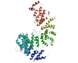 Cilia And Flagella Associated Protein 69 (CFAP69)