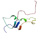 Chromosome 7 Open Reading Frame 66 (C7orf66)