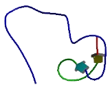 Chromosome 7 Open Reading Frame 69 (C7orf69)