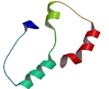 Chromosome 7 Open Reading Frame 71 (C7orf71)