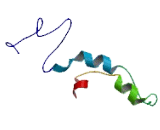 Chromosome 7 Open Reading Frame 72 (C7orf72)