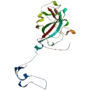 Coiled Coil Domain Containing Protein 71L (CCDC71L)