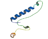 Chromosome 8 Open Reading Frame 37 (C8orf37)