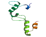 RBM12B Antisense Gene Protein 1 (RBM12B-AS1)