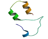 Small Integral Membrane Protein 19 (SMIM19)