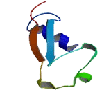 Chromosome 8 Open Reading Frame 44 (C8orf44)