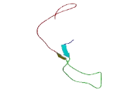 Chromosome 8 Open Reading Frame 46 (C8orf46)