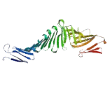 Glutamate Rich Protein 5 (ERICH5)