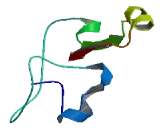 Chromosome 8 Open Reading Frame 49 (C8orf49)