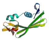 Thioesterase Superfamily, Member 6 (THEM6)