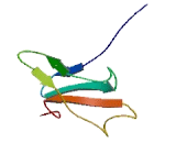 Chromosome 8 Open Reading Frame 71 (C8orf71)