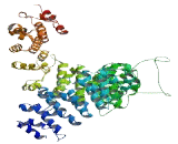 Maestro Heat Like Repeat Containing Protein Family Member 6 (MROH6)