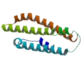 Chromosome 8 Open Reading Frame 74 (C8orf74)