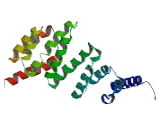 Chromosome 8 Open Reading Frame 76 (C8orf76)