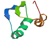 COL5A1 Antisense Gene Protein 1 (COL5A1-AS1)