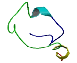 Chromosome 9 Open Reading Frame 107 (C9orf107)