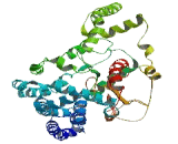 Chromosome 9 Open Reading Frame 117 (C9orf117)