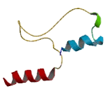 Chromosome 9 Open Reading Frame 118 (C9orf118)