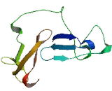 Transmembrane Protein 246 (TMEM246)