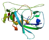 Chromosome 9 Open Reading Frame 129 (C9orf129)