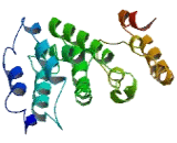 Chromosome 9 Open Reading Frame 131 (C9orf131)