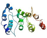 Chromosome 9 Open Reading Frame 135 (C9orf135)